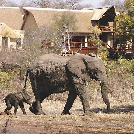 Elephant Plains Game Lodge Reserva de caza Sabi Sand Exterior foto