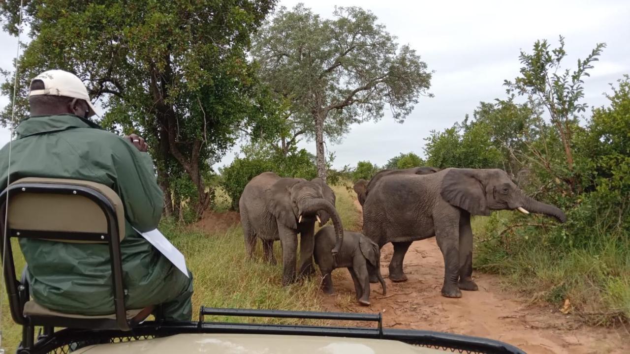 Elephant Plains Game Lodge Reserva de caza Sabi Sand Exterior foto