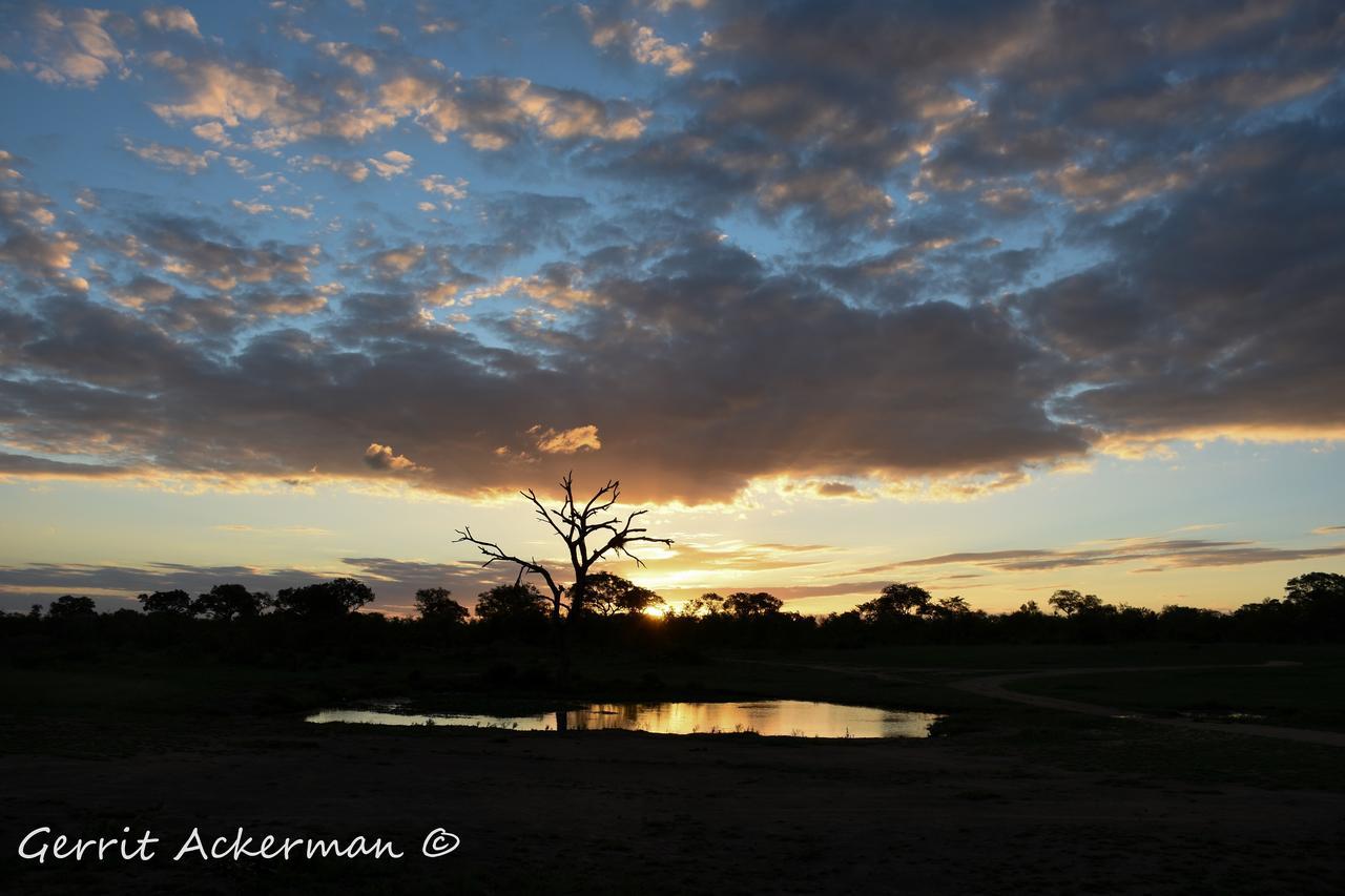 Elephant Plains Game Lodge Reserva de caza Sabi Sand Exterior foto